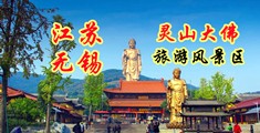 抽插超长视频江苏无锡灵山大佛旅游风景区